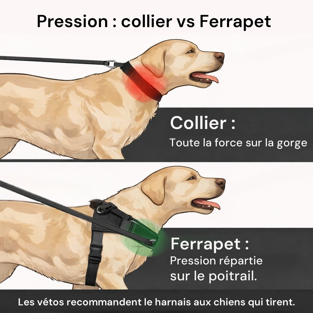 Pression : collier contre harnais Ferrapet