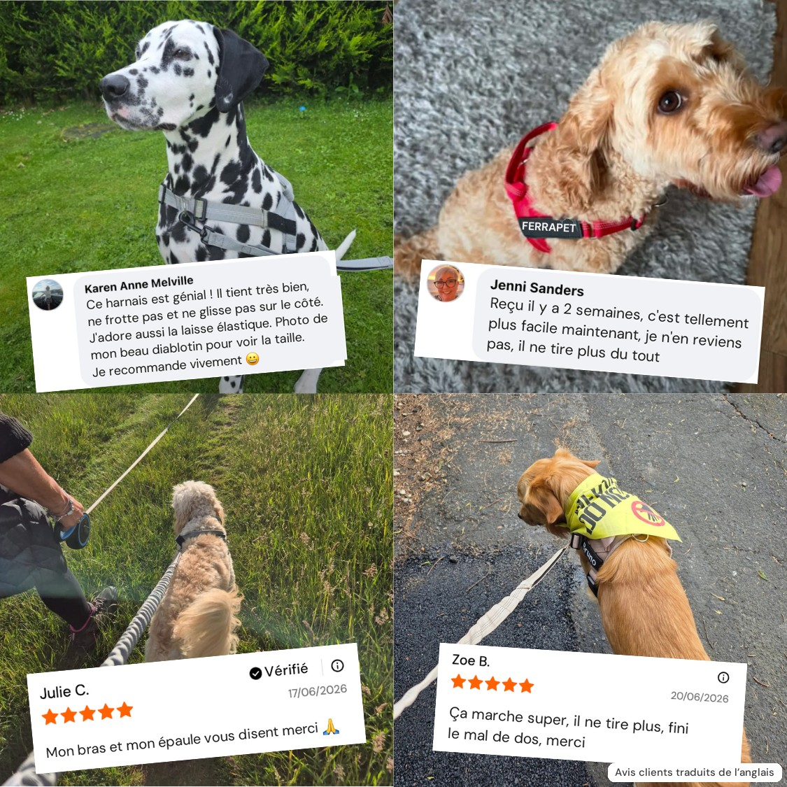 Avis clients Ferrapet avec photos de leurs chiens