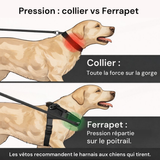 Pression : collier contre harnais Ferrapet