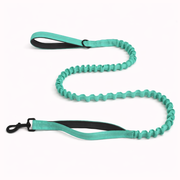 Vert turquoise