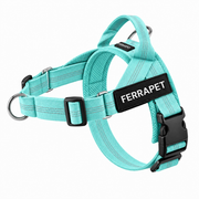 Vert turquoise