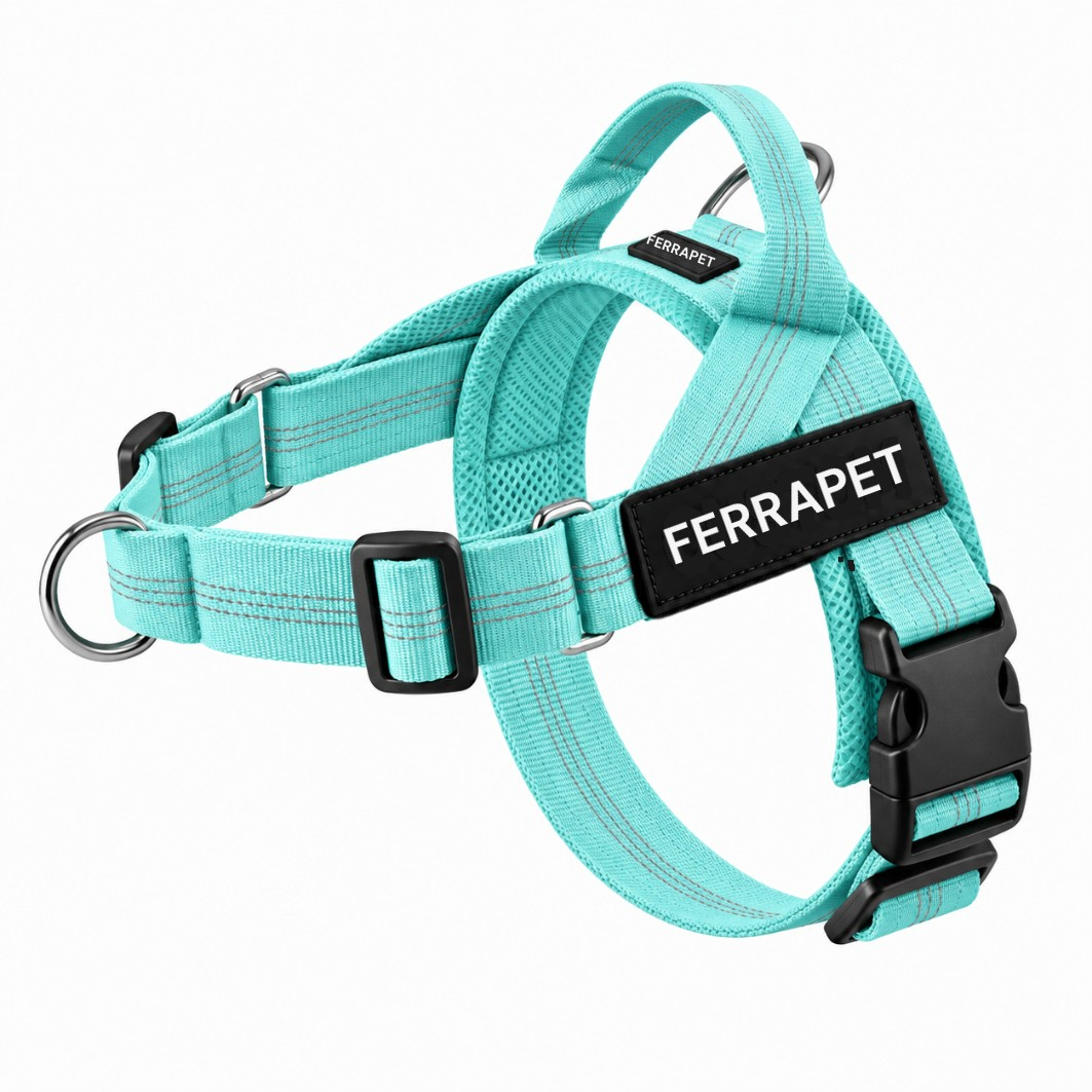 Vert turquoise