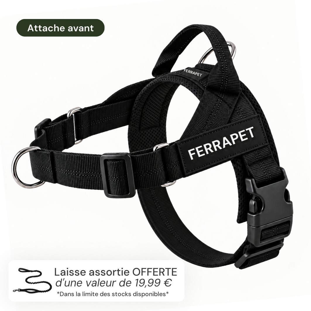 Harnais anti-traction Ferrapet avec attache avant et laisse assortie offerte