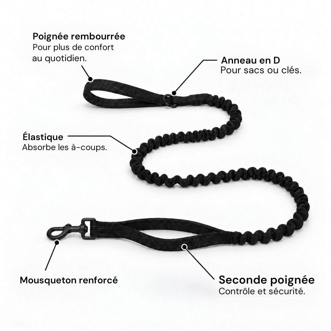 Laisse élastique anti-choc assortie