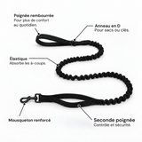Laisse élastique anti-choc assortie