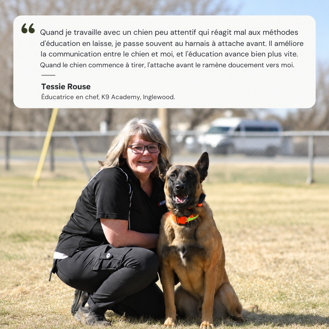 Avis d'une éducatrice canine
