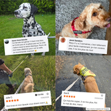 Avis clients Ferrapet avec photos de leurs chiens